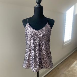 NWT Sequin Silver Express Top